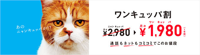 ワンキュッパ割。月々1,980円(1年間)