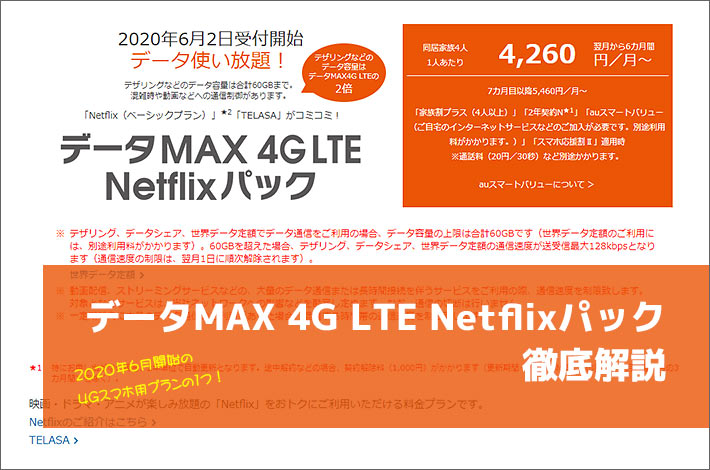 データMAX 4G LTE Netflixパック徹底解説