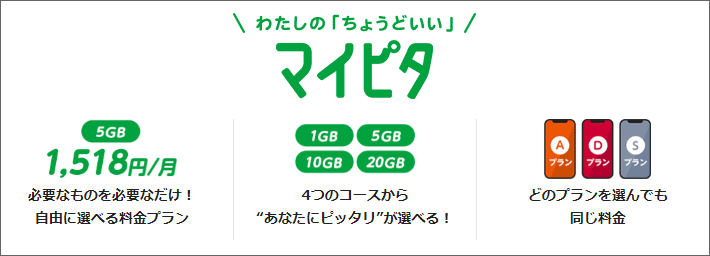 わたしの「ちょうどいい」マイピタ