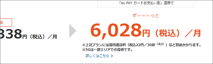税込6,028円/月