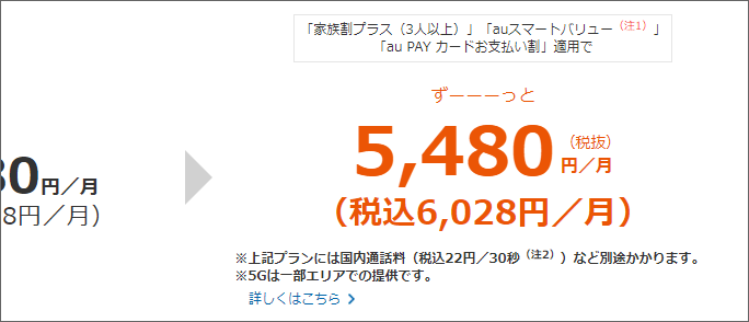 税込6,028円/月