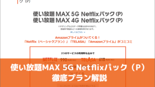 使い放題MAX 5G Netflixパック(P)徹底プラン解説