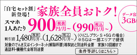 990円/月~
