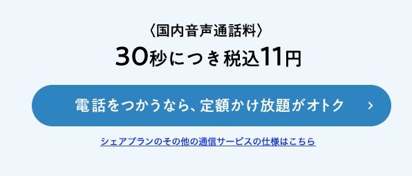国内音声通話料 30秒につき税込11円